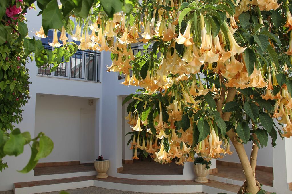 Casas Do Ramalhete Luz